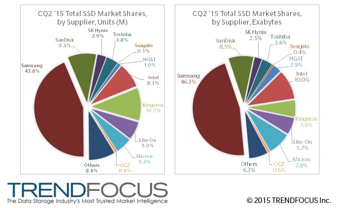 trend focus