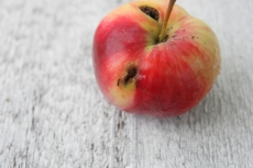 Ex-NSA bloke mocks Apple's security
