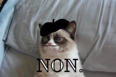 France says "non" to Assange asylum