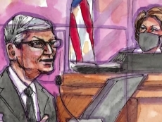 Cook should be slapped for "carefully tended ignorance"