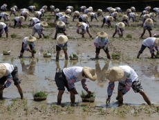 Taiwan's farmers at odds with chipmakers